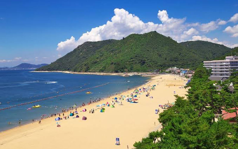 渋川海岸